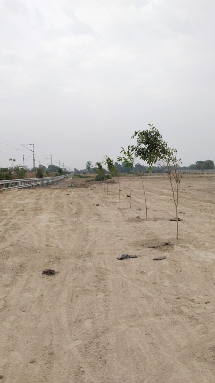 undefined, kalli paschim  1250 Sq.Ft. Plot In Kalli Paschim Lucknow 8848701