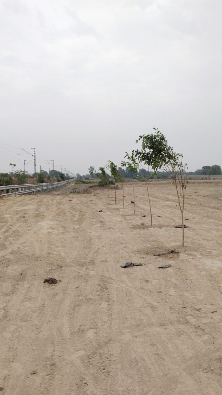 undefined, kalli paschim  1250 Sq.Ft. Plot In Kalli Paschim Lucknow 8848701