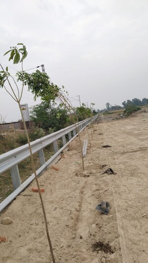 Plot Area in  Plot at Kalli Paschim – for Sale