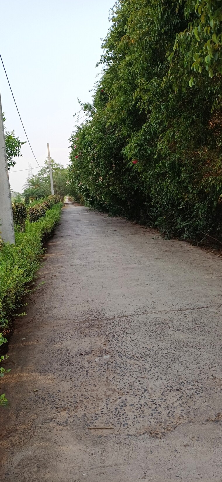 Garden, jewar  216 Sq.Yd. Plot In Jewar Greater Noida 8848713