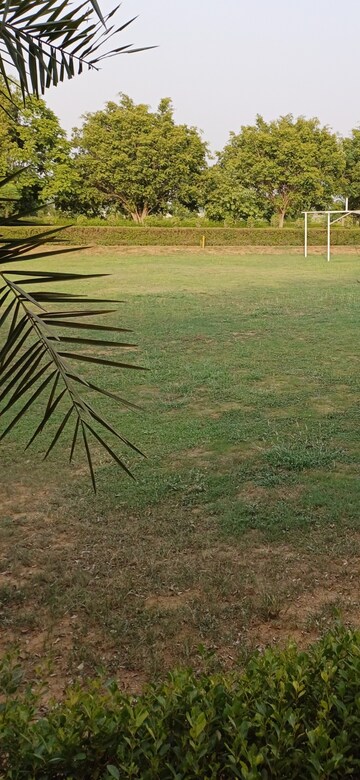 Plot Area in  Plot at Jewar – for Sale