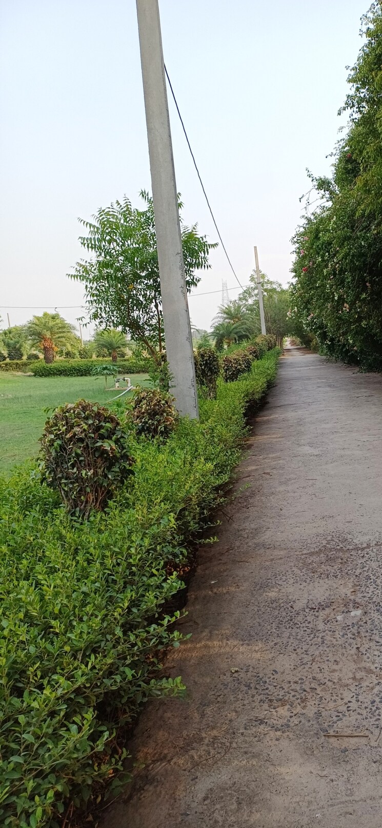 Garden, jewar  217 Sq.Yd. Plot In Jewar Greater Noida 8848720