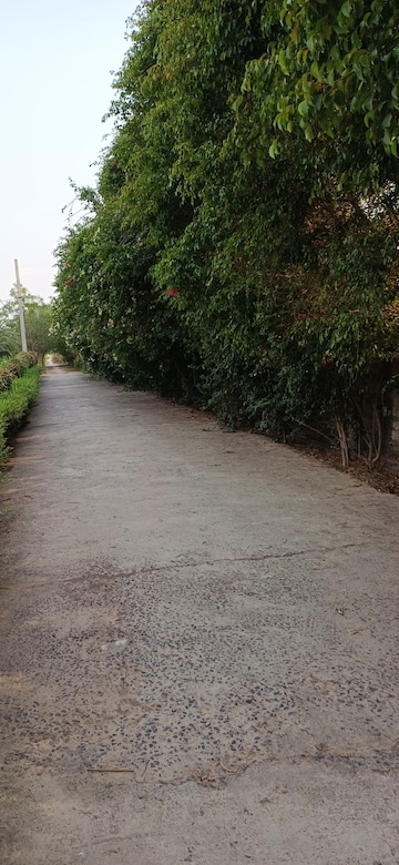 Plot Area in  Plot at Jewar – for Sale