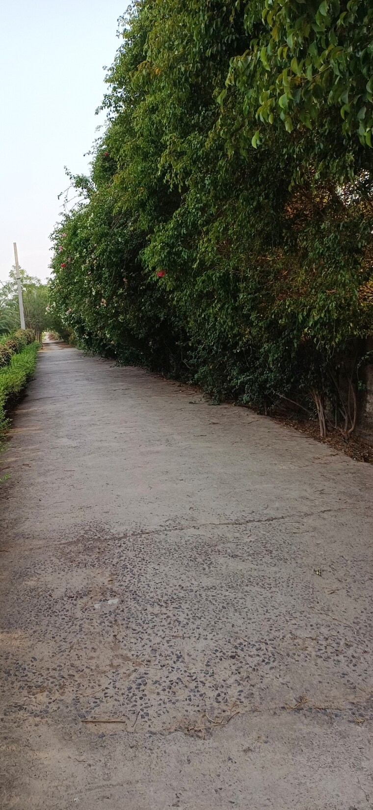 undefined, jewar  218 Sq.Yd. Plot In Jewar Greater Noida 8848733