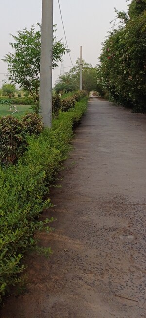  Plot – Garden View at Jewar - for Sale