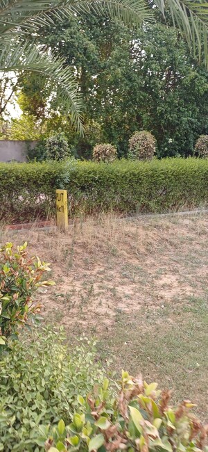 Plot Area in  Plot at Jewar – for Sale
