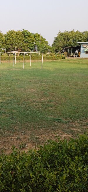  Plot For Sale in Jewar