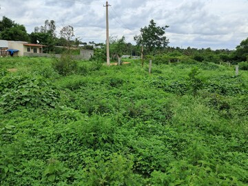  Plot – Garden View at Rayasandra - for Sale