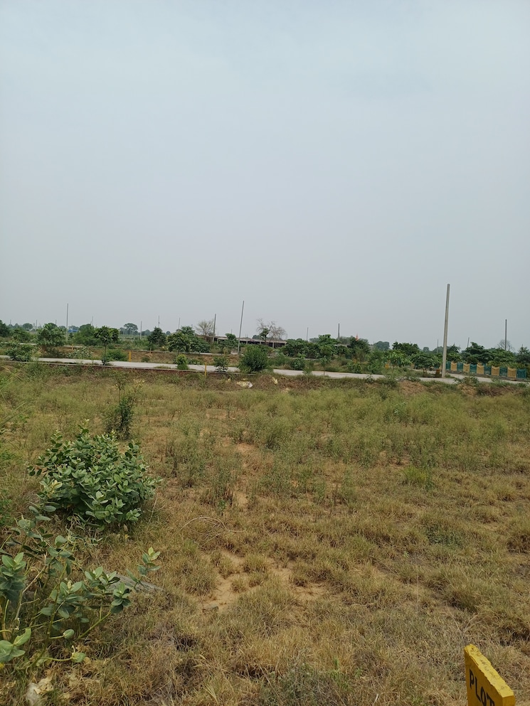 undefined, jewar  219 Sq.Yd. Plot In Jewar Greater Noida 8848752