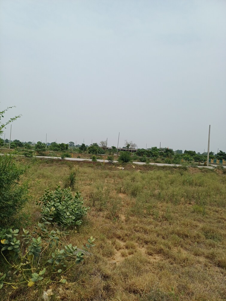Cover Image, jewar  220 Sq.Yd. Plot In Jewar Greater Noida 8848770