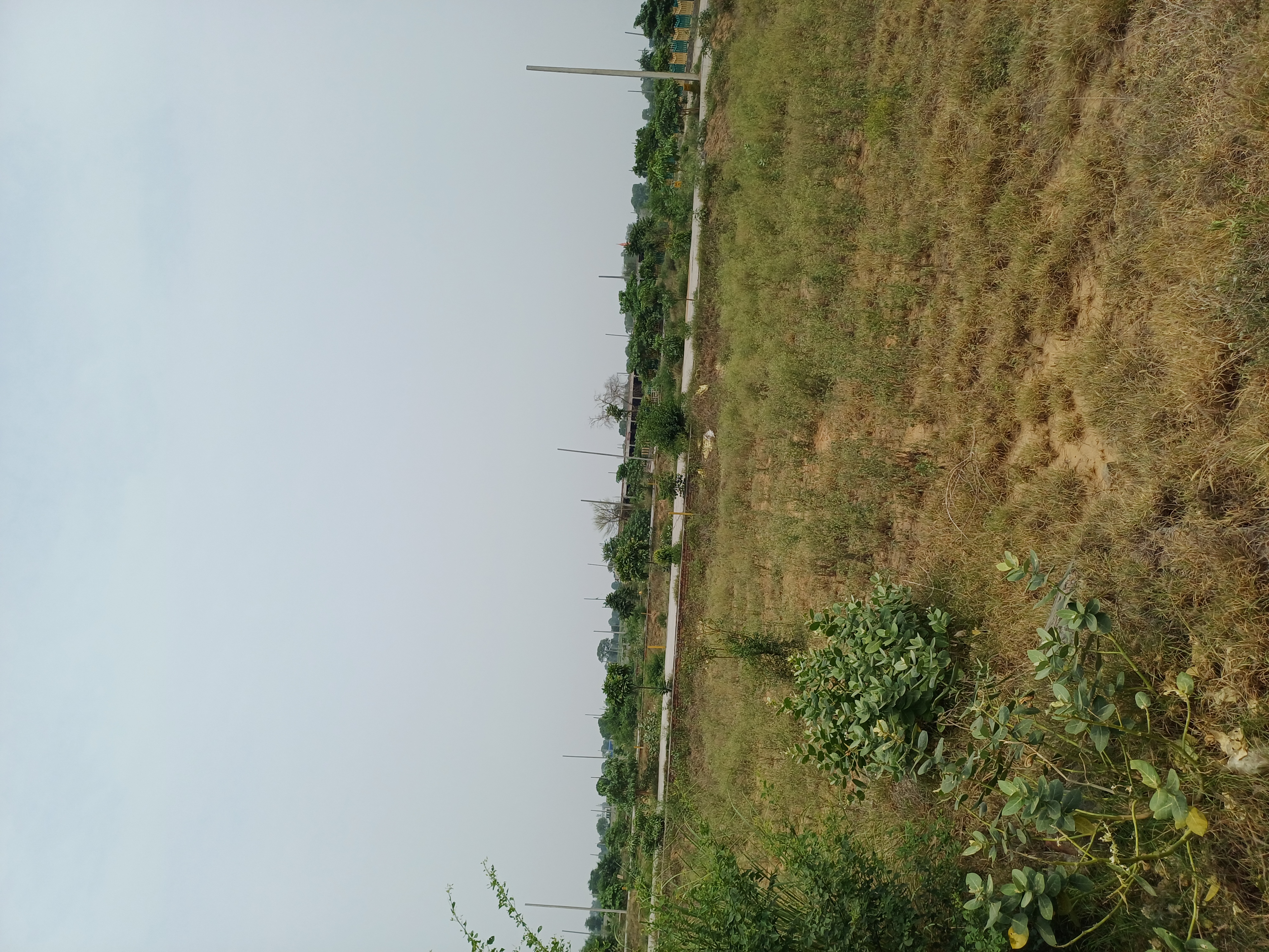 Plot For Sale in Harit City 