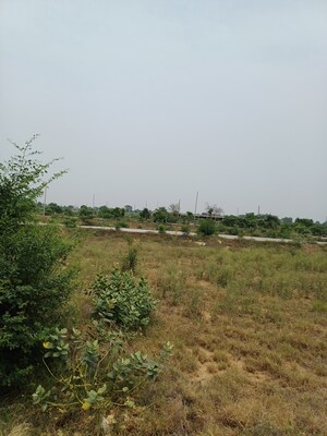  Plot For Sale in Jewar