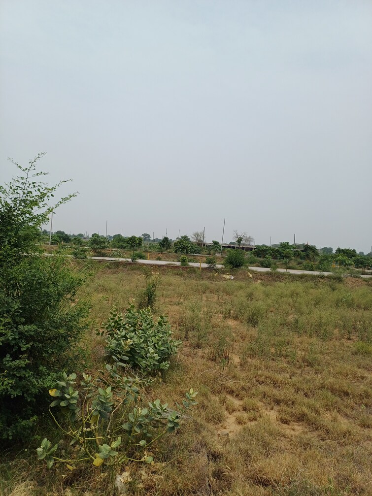 Cover Image, jewar  221 Sq.Yd. Plot In Jewar Greater Noida 8848786