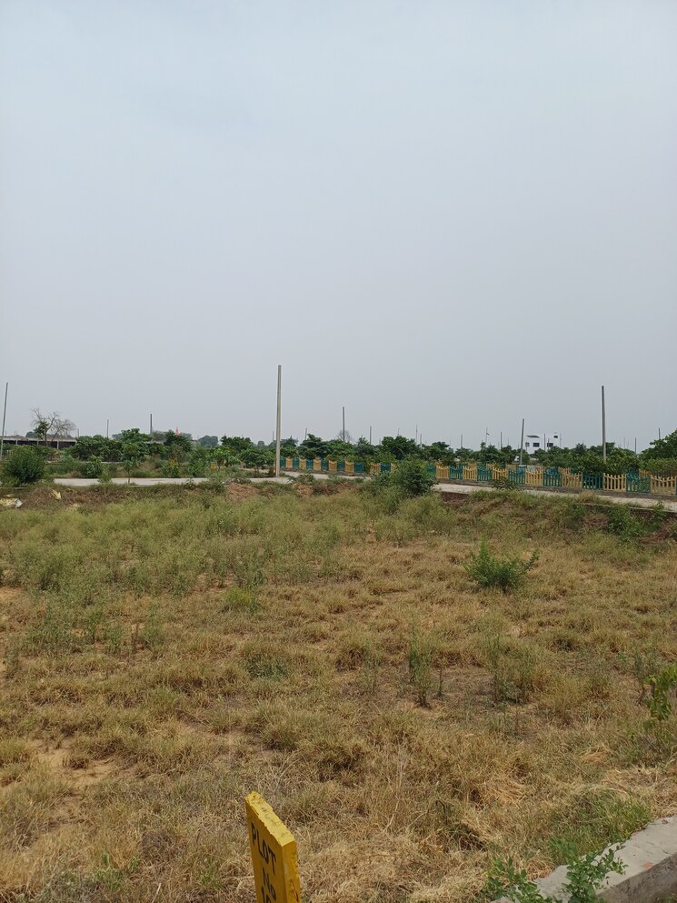 Garden, jewar  221 Sq.Yd. Plot In Jewar Greater Noida 8848786