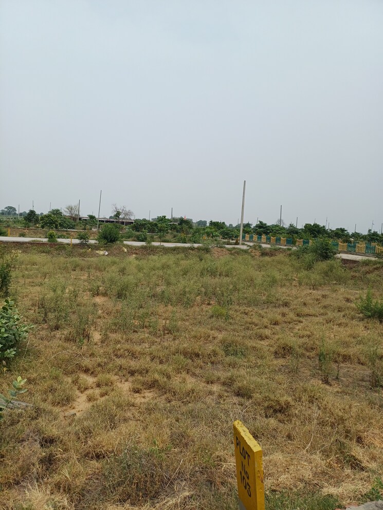Garden, jewar  221 Sq.Yd. Plot In Jewar Greater Noida 8848786