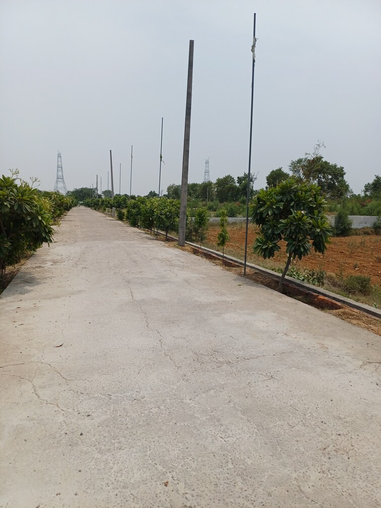 Cover Image, jewar  222 Sq.Yd. Plot In Jewar Greater Noida 8848801