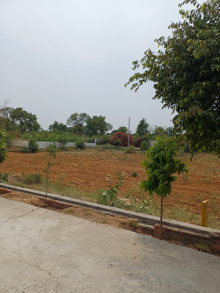 Exterior View, jewar  222 Sq.Yd. Plot In Jewar Greater Noida 8848801