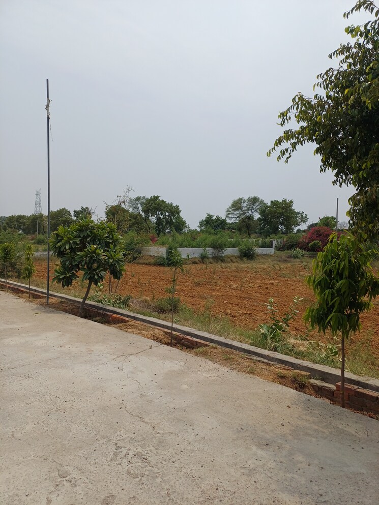 Exterior View, jewar  222 Sq.Yd. Plot In Jewar Greater Noida 8848801
