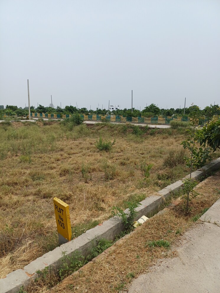 Garden, jewar  222 Sq.Yd. Plot In Jewar Greater Noida 8848801