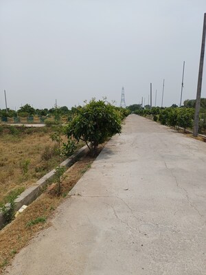  Plot For Sale in Jewar