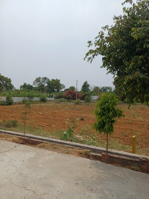  Plot – Exterior View View at Jewar - for Sale