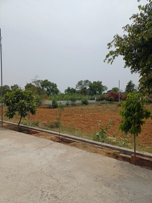  Plot – Exterior View View at Jewar - for Sale
