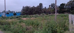 Plot For Sale in Jalahalli