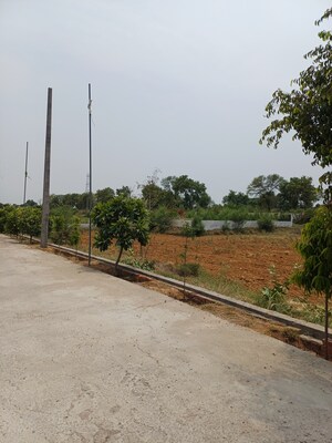  Plot – Exterior View View at Jewar - for Sale