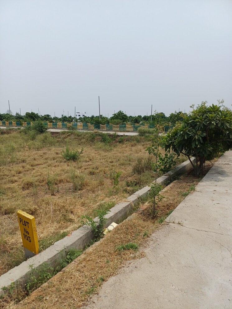 Garden, jewar  224 Sq.Yd. Plot In Jewar Greater Noida 8848973