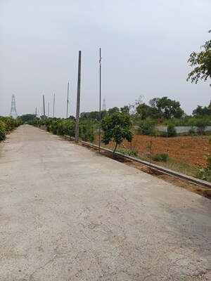  Plot For Sale in Jewar