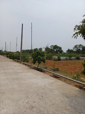  Plot For Sale in Jewar