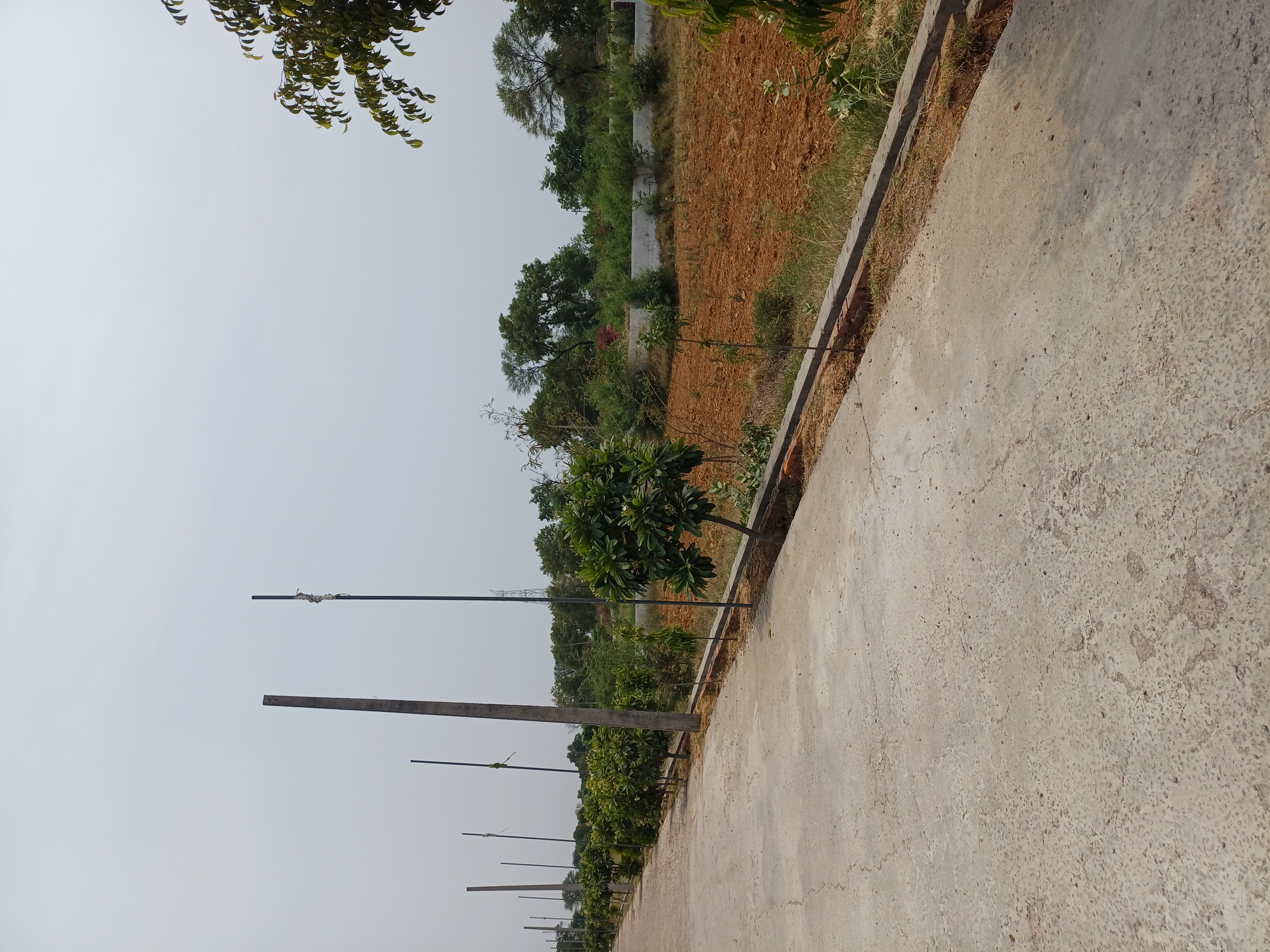Plot For Sale in Harit City 