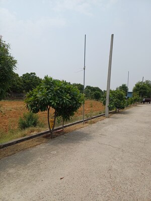  Plot – Exterior View View at Jewar - for Sale