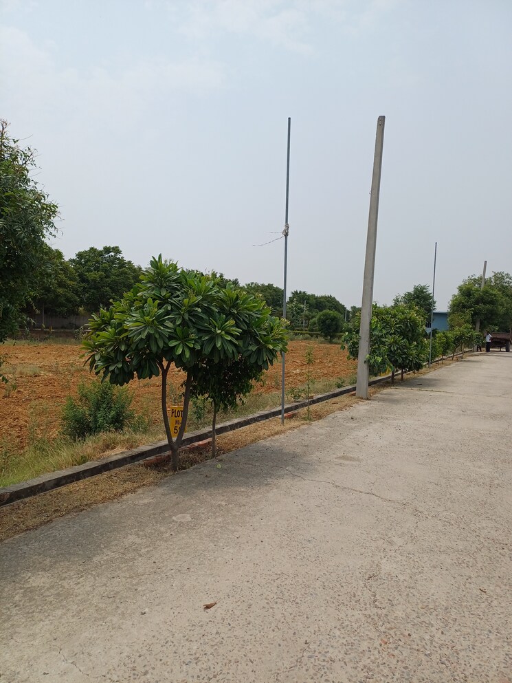 Exterior View, jewar  225 Sq.Yd. Plot In Jewar Greater Noida 8849030