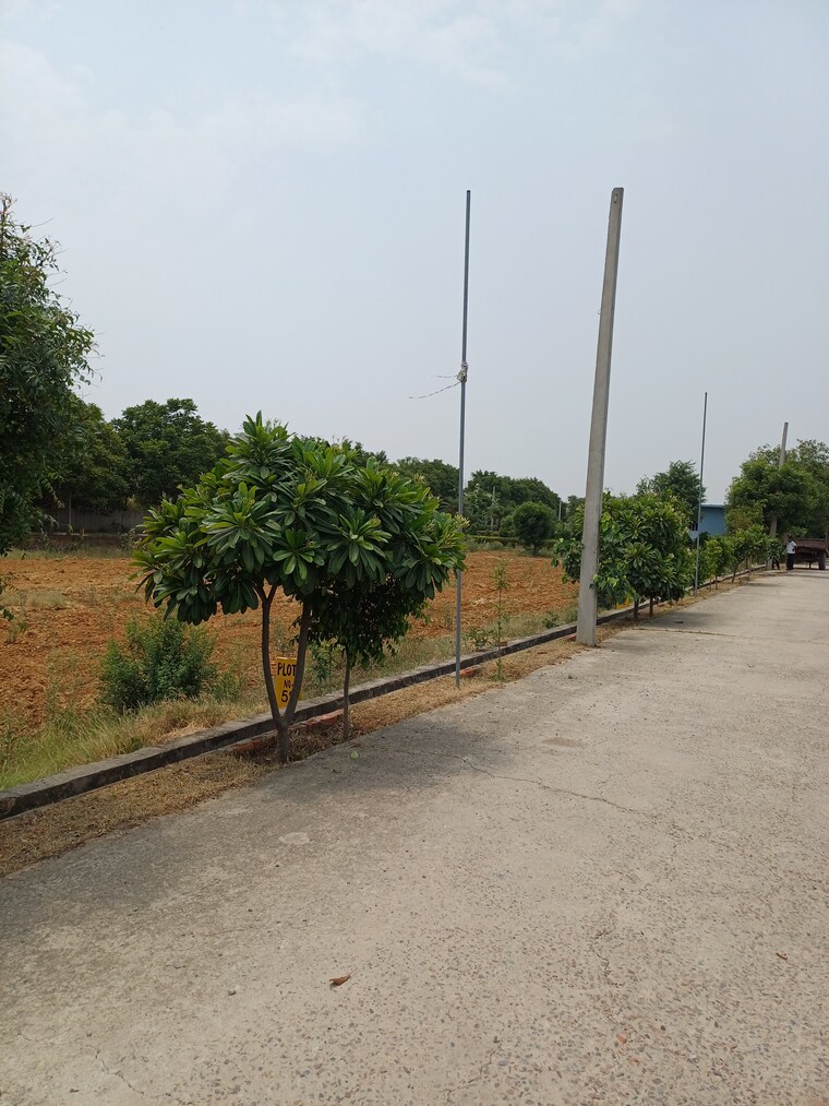 Exterior View, jewar  225 Sq.Yd. Plot In Jewar Greater Noida 8849030