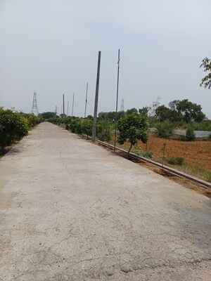  Plot – Exterior View View at Jewar - for Sale