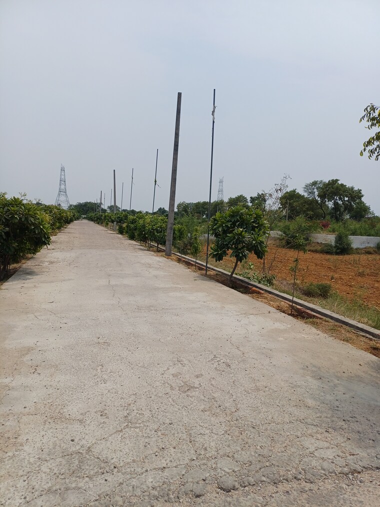 Exterior View, jewar  225 Sq.Yd. Plot In Jewar Greater Noida 8849030