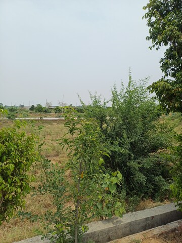  Plot – Garden View at Jewar - for Sale