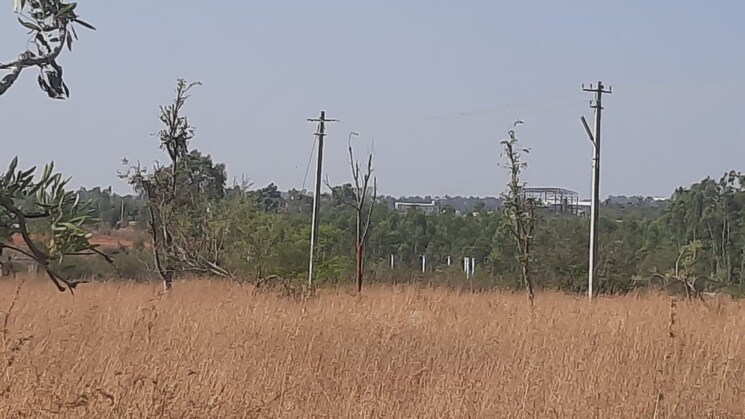 Cover Image, aratt-atlantis  1563 Sq.Ft. Plot In Anekal Bangalore 8849028