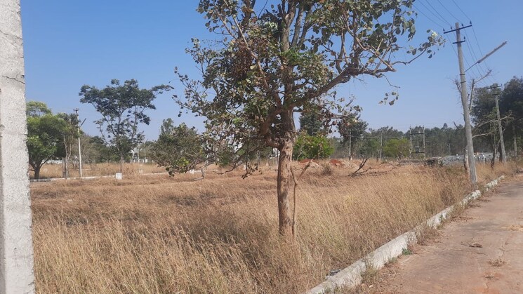 undefined, aratt-atlantis  1563 Sq.Ft. Plot In Anekal Bangalore 8849028