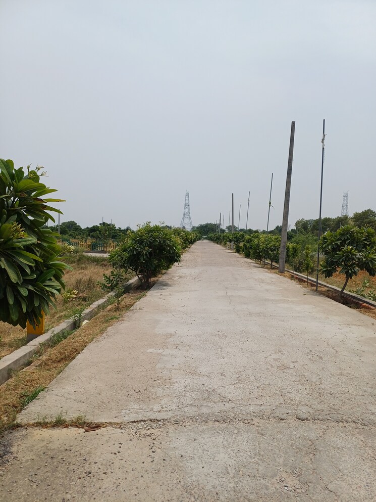 Exterior View, jewar  226 Sq.Yd. Plot In Jewar Greater Noida 8849049