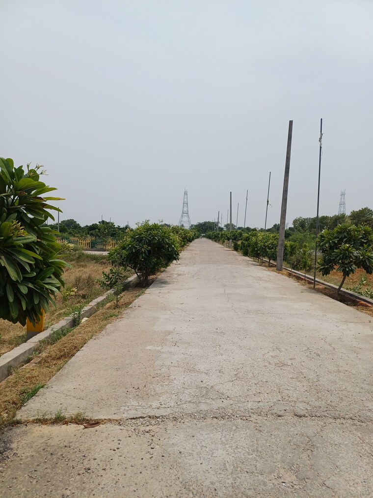 Exterior View, jewar  226 Sq.Yd. Plot In Jewar Greater Noida 8849049