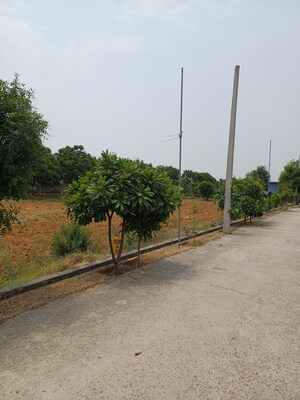  Plot For Sale in Jewar