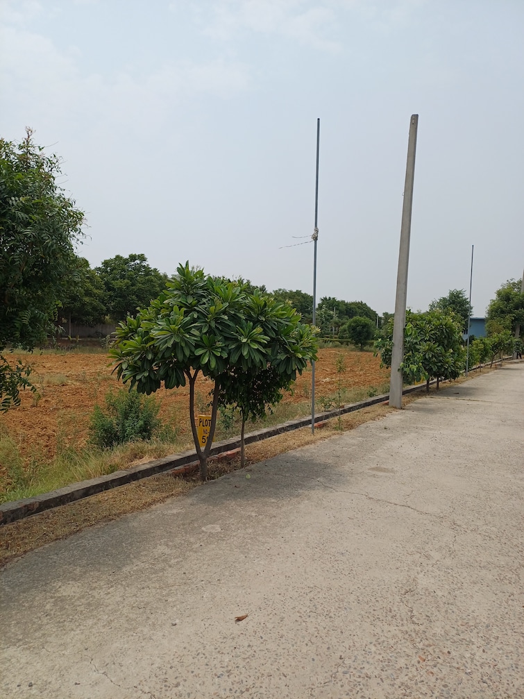 Cover Image, jewar  226 Sq.Yd. Plot In Jewar Greater Noida 8849049