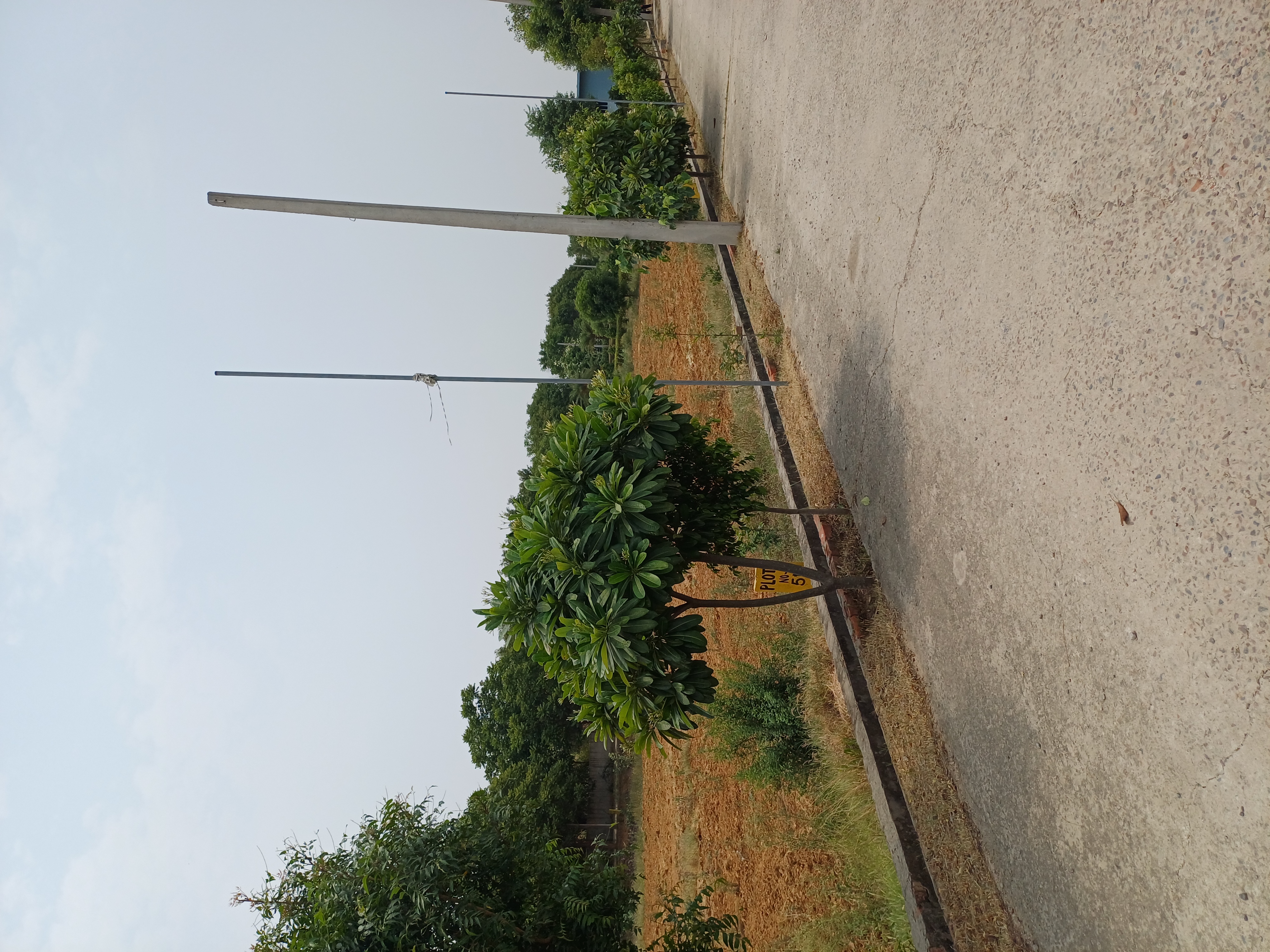 Plot For Sale in Harit City 