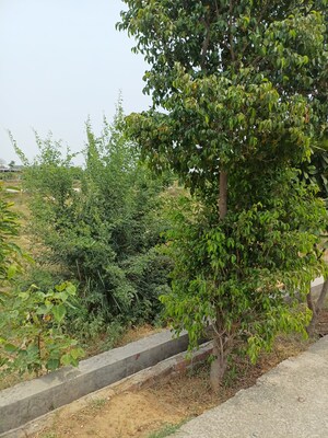  Plot – Garden View at Jewar - for Sale