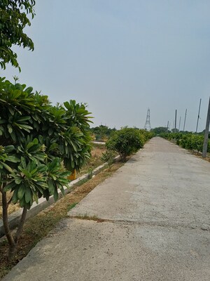  Plot For Sale in Jewar