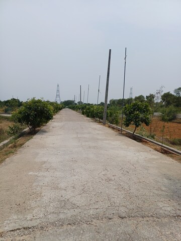  Plot – Exterior View View at Jewar - for Sale