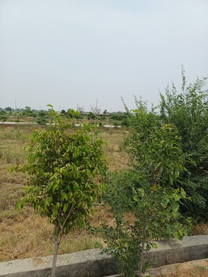  Plot – Garden View at Jewar - for Sale