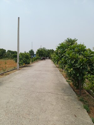  Plot – Exterior View View at Jewar - for Sale